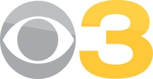 cbs-3-grey-and-yellow-on-white1